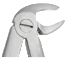 FORCEPS DE EXTRACCIÒN PARA NIÑOS  KLEIN #05