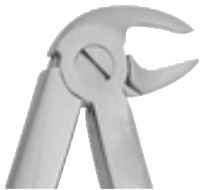 FORCEPS DE EXTRACCIÒN PARA NIÑOS KLEIN #07