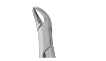 FORCEPS INFANTIL PARA INCISIVOS  INFERIORES #151S
