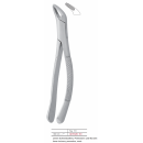 FORCEPS PARA INCISIVOS, CAMINOS,  PREMOLARES Y RAÌCES INFERIORES #151